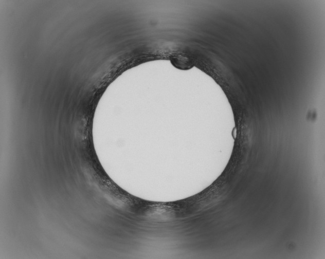 X0000111170750200908121046