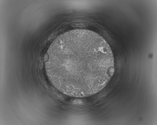 X0000111170751200908121046