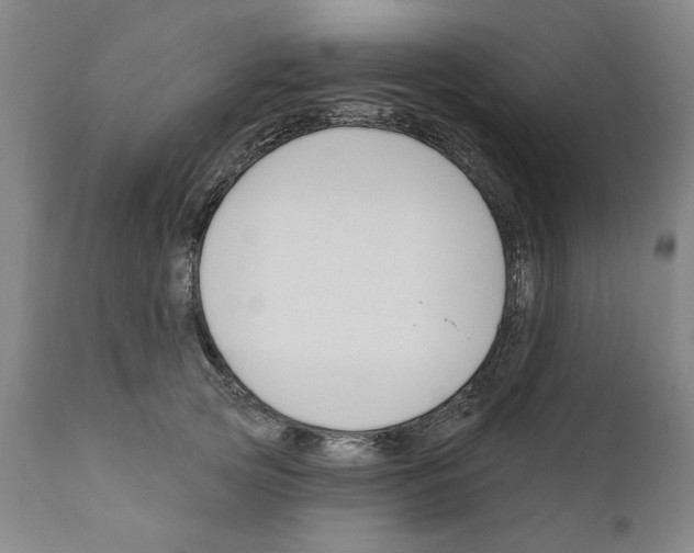 X0000111170753200908121046