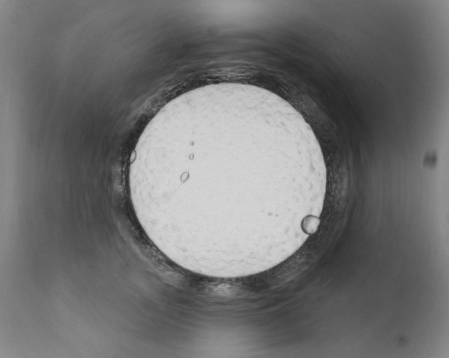 X0000111170755200908121046