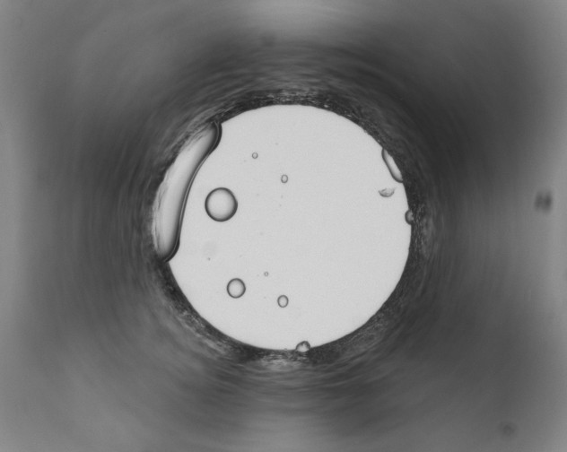 X0000111170756200908121046