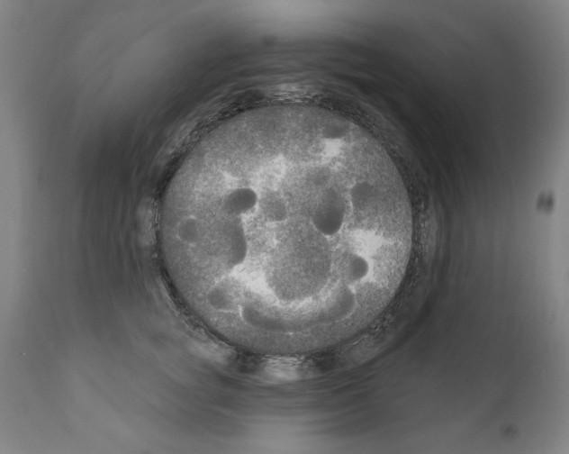 X0000111170757200908121046