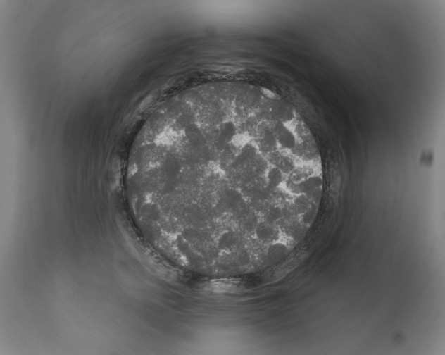 X0000111170758200908121046