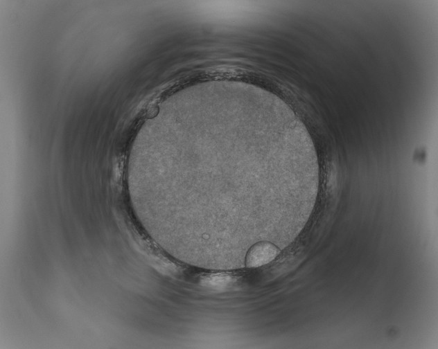 X0000111170759200908121046