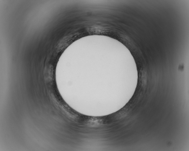 X0000111170760200908121046