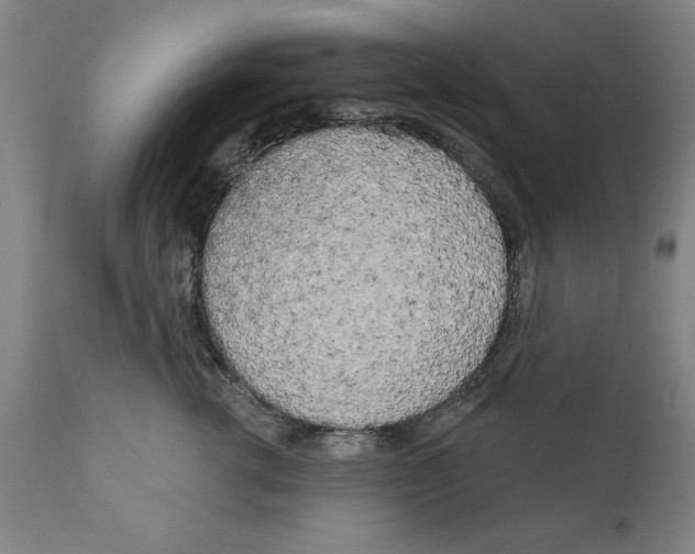 X0000111170762200908121046