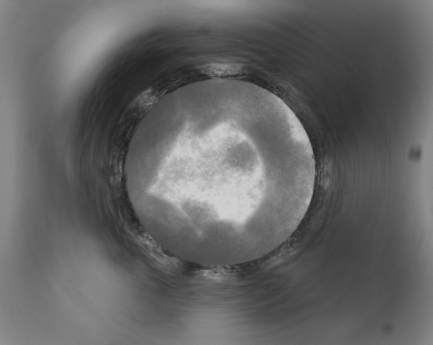 X0000111170763200908121046