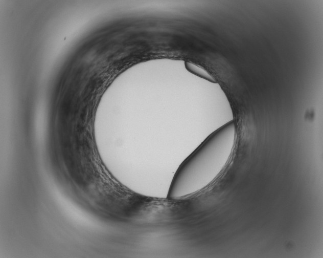 X0000111170764200908121046