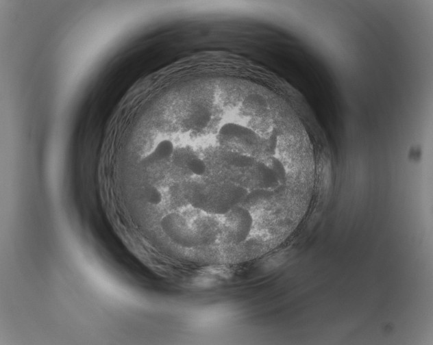 X0000111170765200908121046