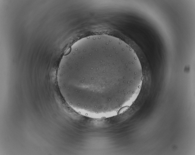 X0000111170767200908121047