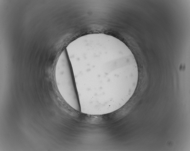 X0000111170768200908121047