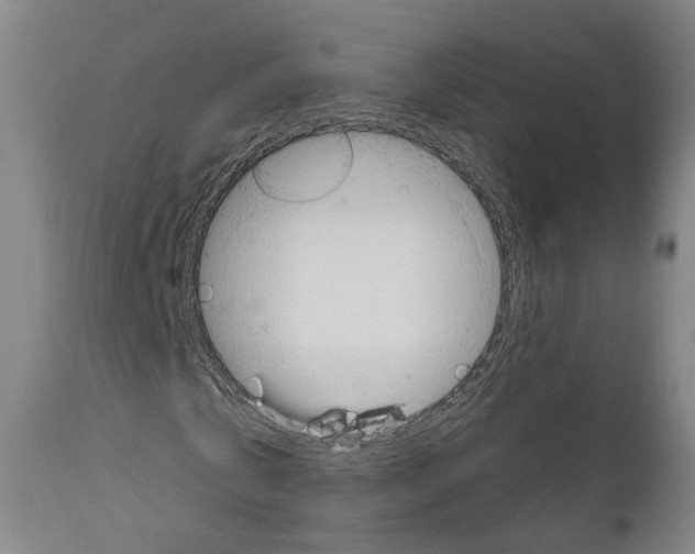 X0000111170769200908121046