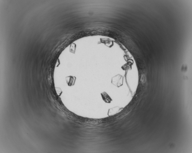 X0000111170771200908121046