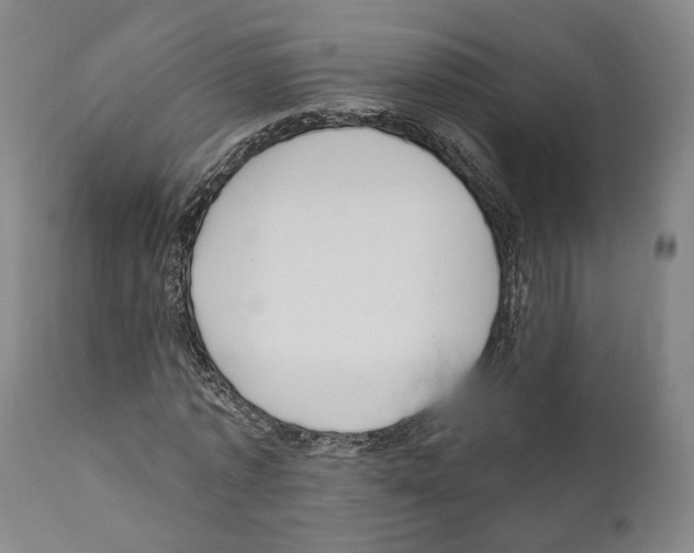 X0000111170773200908121046