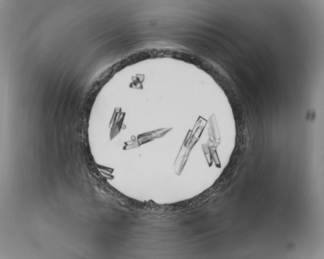 X0000111170775200908121046