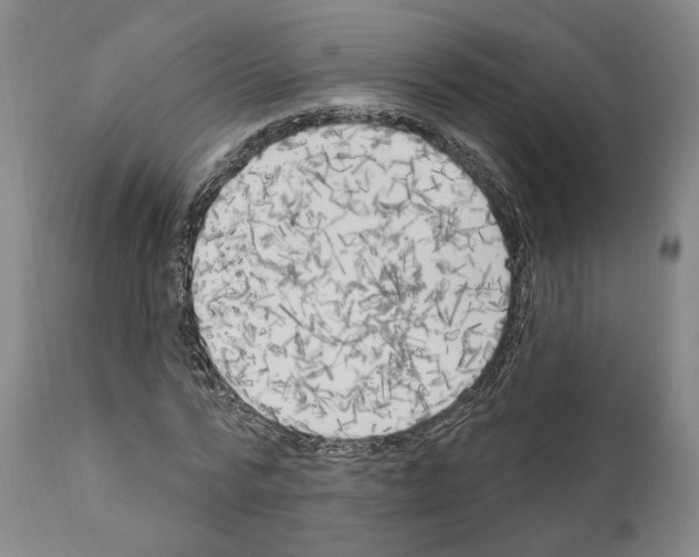 X0000111170776200908121046