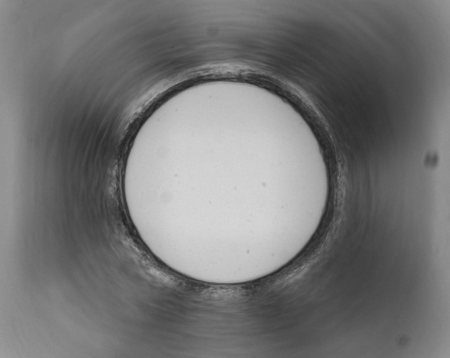 X0000111170778200908121046