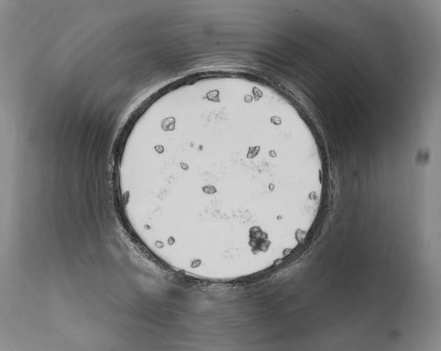 X0000111170779200908121046