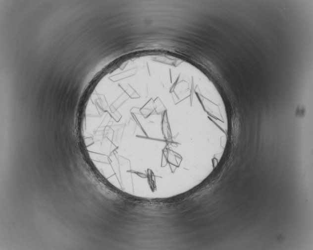 X0000111170780200908121046