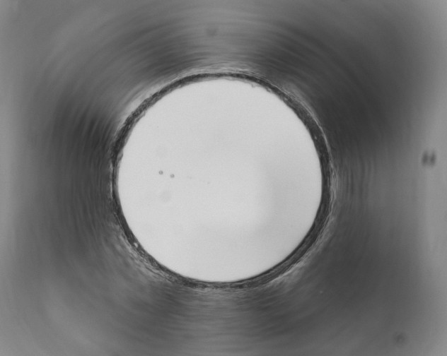 X0000111170781200908121046