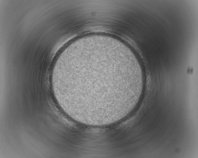 X0000111170782200908121046