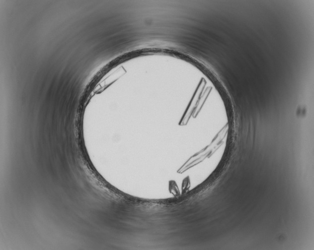 X0000111170783200908121046