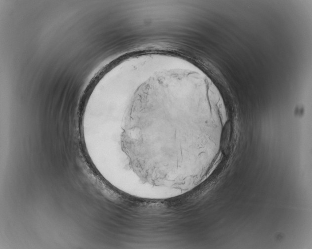 X0000111170784200908121046