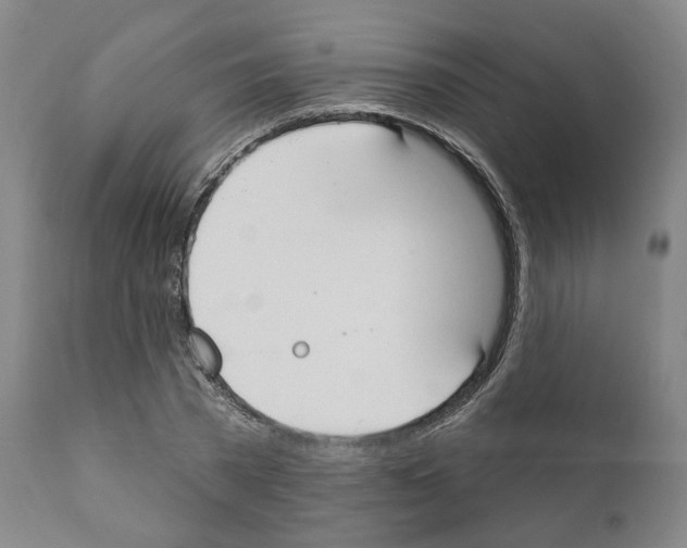 X0000111170785200908121046