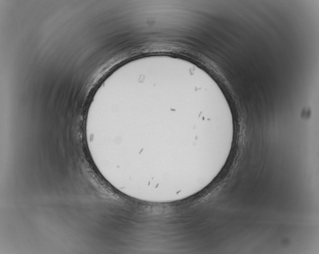 X0000111170786200908121046