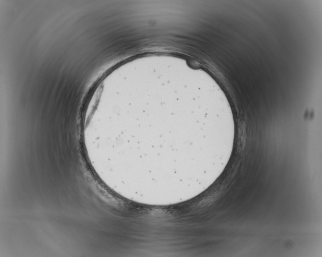 X0000111170787200908121046