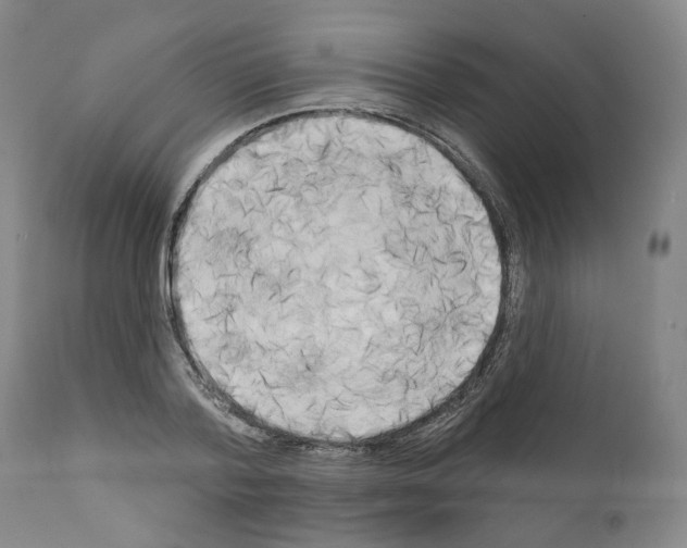 X0000111170788200908121046