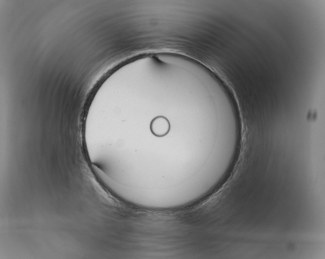 X0000111170789200908121046