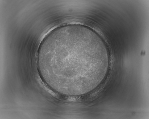 X0000111170790200908121046