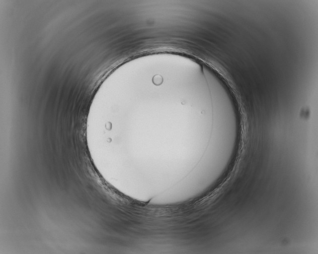 X0000111170793200908121046