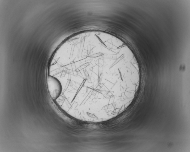 X0000111170796200908121045