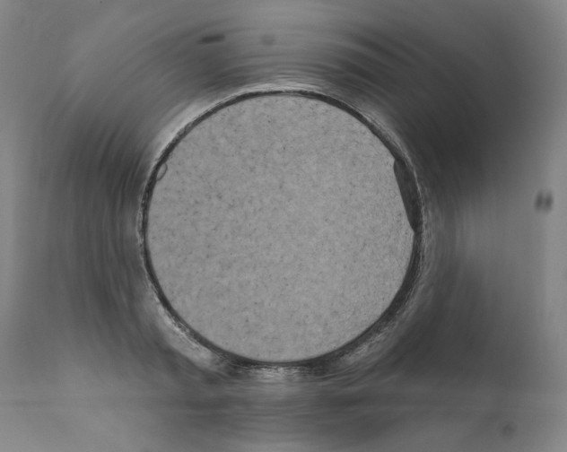 X0000111170797200908121045