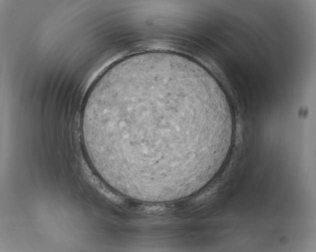 X0000111170798200908121045