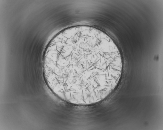 X0000111170800200908121045