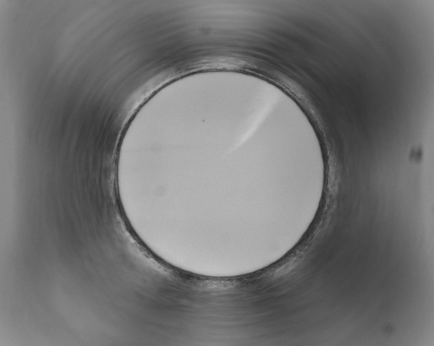 X0000111170802200908121045