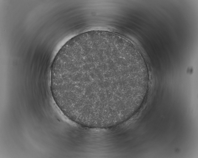 X0000111170804200908121045