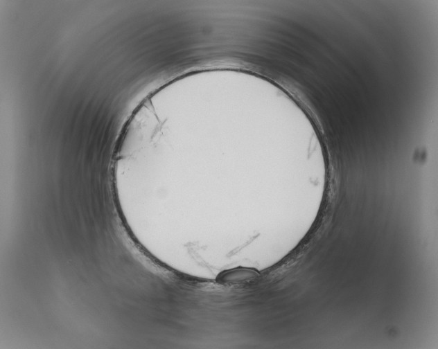 X0000111170805200908121045