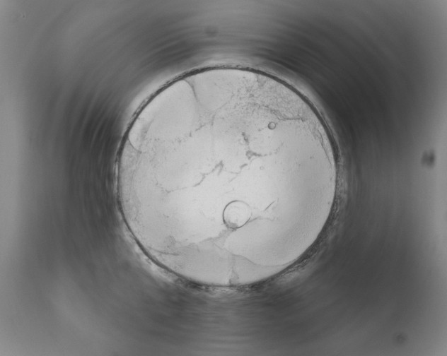 X0000111170807200908121045