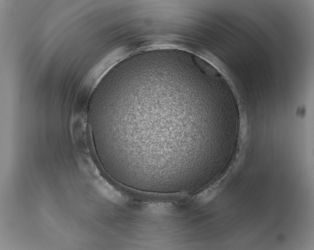 X0000111170809200908121045