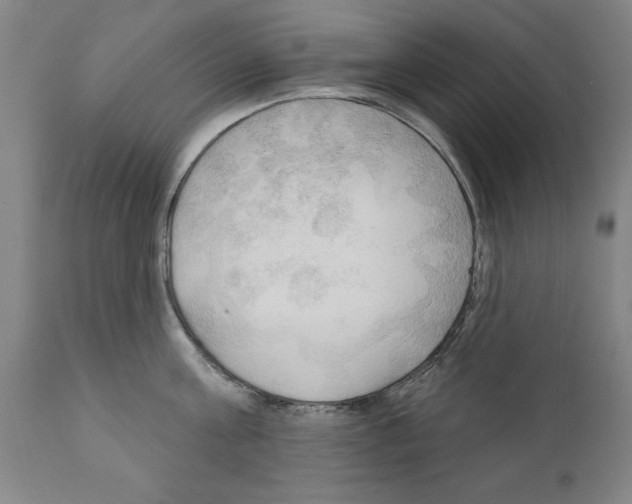 X0000111170811200908121045