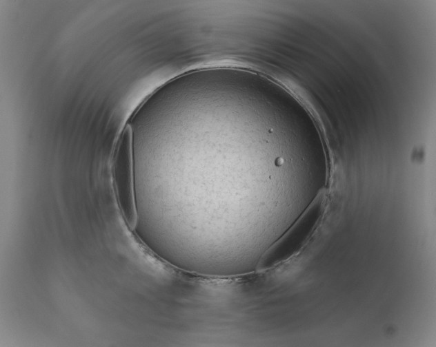 X0000111170813200908121045