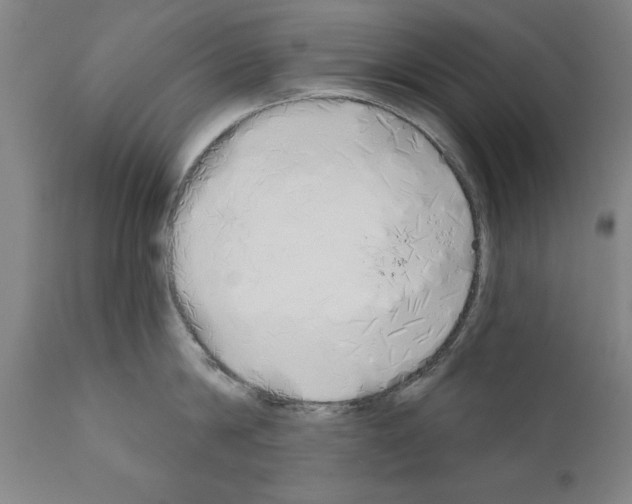 X0000111170814200908121045