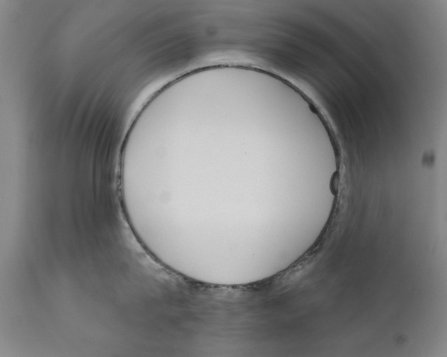 X0000111170815200908121045