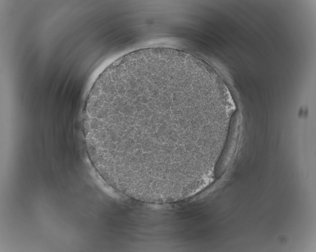 X0000111170816200908121045