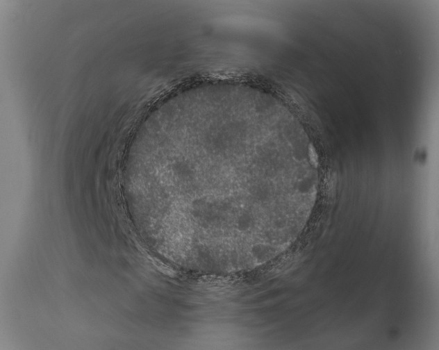 X0000111170817200908121044