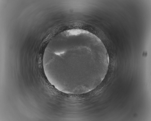 X0000111170818200908121044